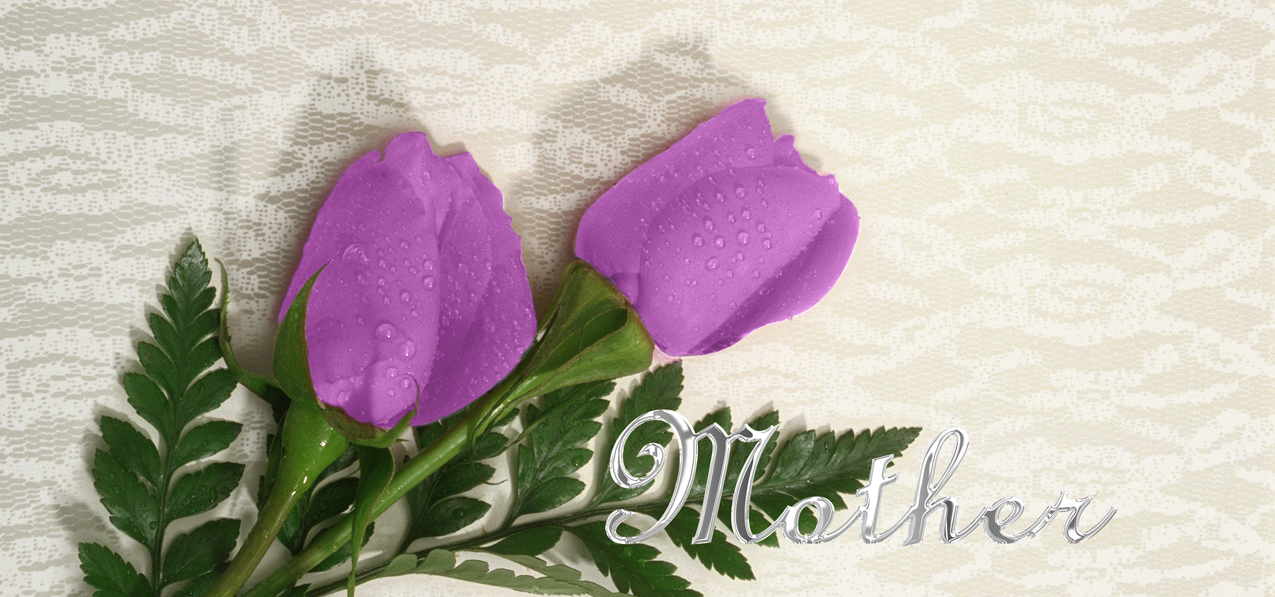 HP-AG-252-M-SL 2 Roses Lavender Madre Silver